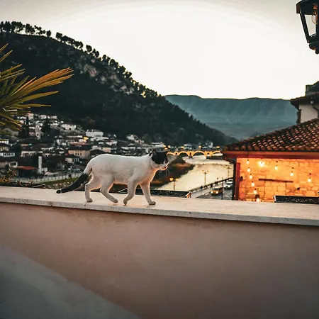 White House & Restaurant - Since 1999 فندق *